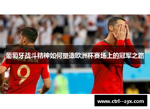 葡萄牙战斗精神如何塑造欧洲杯赛场上的冠军之路